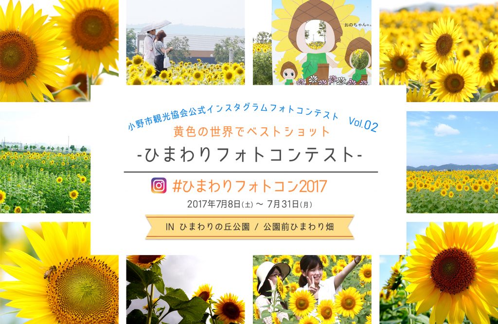 sunflower-photo_01