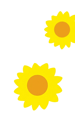 小野かっぱひまわり画像