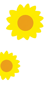 小野かっぱひまわり画像