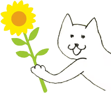 小野かっぱねこ画像