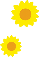 小野かっぱひまわり画像