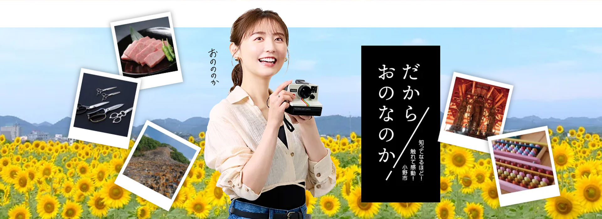 コスモス