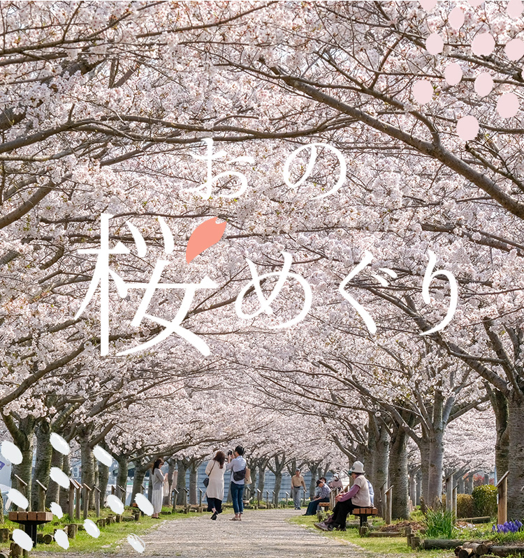 おの桜めぐり