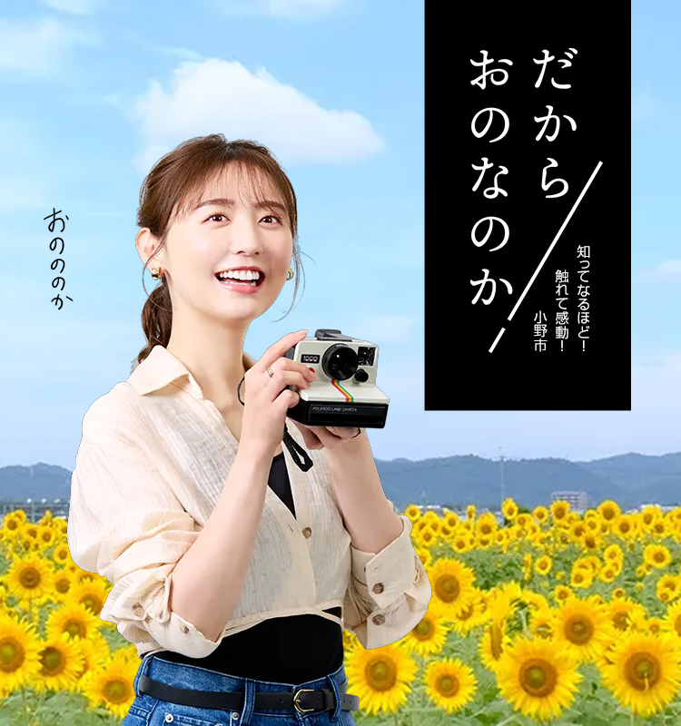 コスモス